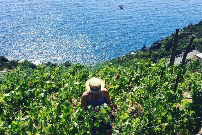 Refuge Uwabio Organic Vineyard Cinqueterre Villa Riomaggiore Bagian luar foto